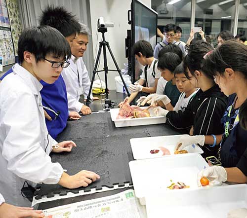 東京都市大学付属中学校