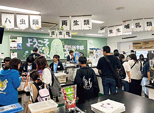 青稜中学校