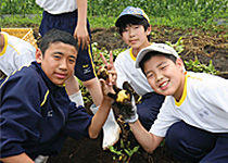 日本大学藤沢中学校
