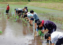 橘学苑中学校