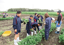 日本大学藤沢中学校