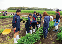 日本大学藤沢中学校