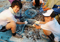 日本学園中学校