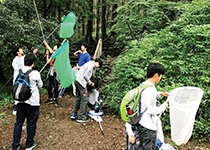 高輪中学校